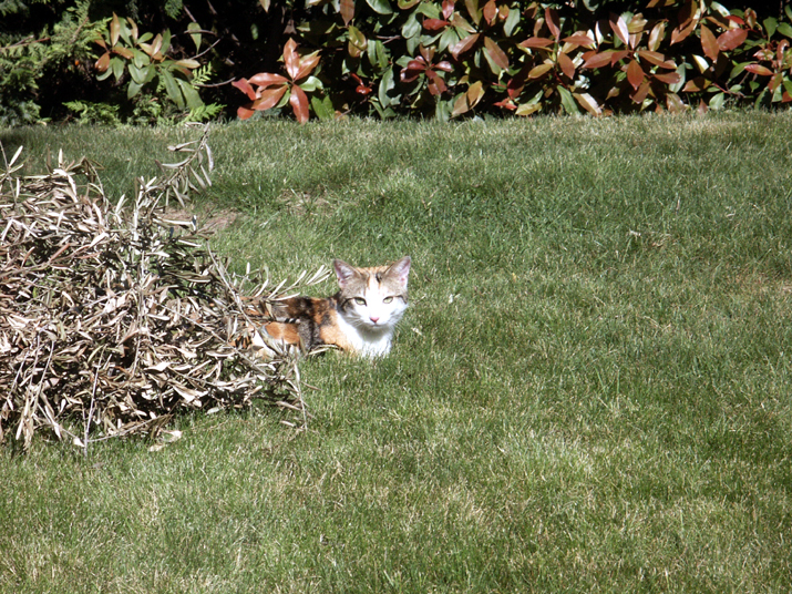 2005-05 005.JPG - DCF 1.0